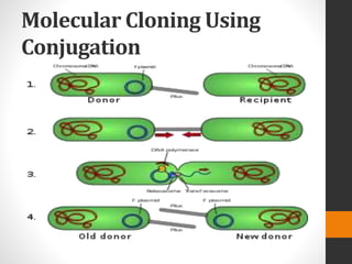 Molecular Cloning Using
Conjugation
 