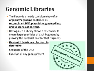 Genomic Libraries
• The library is a nearly complete copy of an
organism’s genome contained as
recombinant DNA plasmids engineered into
unique clones of bacteria.
• Having such a library allows a researcher to
create large quantities of each fragment by
growing the bacterial host for that fragment.
• Genomic Libraries can be used to
determine:
- Sequence of the DNA
- Function of any genes present
 