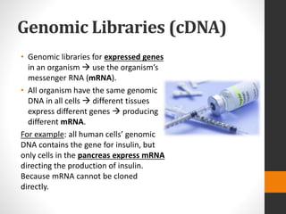 Genomic Libraries (cDNA)
• Genomic libraries for expressed genes
in an organism  use the organism’s
messenger RNA (mRNA).
• All organism have the same genomic
DNA in all cells  different tissues
express different genes  producing
different mRNA.
For example: all human cells’ genomic
DNA contains the gene for insulin, but
only cells in the pancreas express mRNA
directing the production of insulin.
Because mRNA cannot be cloned
directly.
 