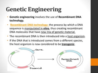 Genetic Engineering
• Genetic engineering involves the use of Recombinant DNA
technology.
• Recombinant DNA technology: the process by which a DNA
sequence is manipulated in vitro, thus creating recombinant
DNA molecules that have new mix of genetic material.
• The recombinant DNA is then introduced into a host organism.
• If the DNA that is introduced comes from a different species,
the host organism is now considered to be transgenic.
 