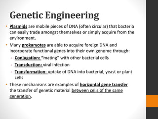Genetic Engineering
• Plasmids are mobile pieces of DNA (often circular) that bacteria
can easily trade amongst themselves or simply acquire from the
environment.
• Many prokaryotes are able to acquire foreign DNA and
incorporate functional genes into their own genome through:
- Conjugation: “mating” with other bacterial cells
- Transduction: viral infection
- Transformation: uptake of DNA into bacterial, yeast or plant
cells
• These mechanisms are examples of horizontal gene transfer
the transfer of genetic material between cells of the same
generation.
 