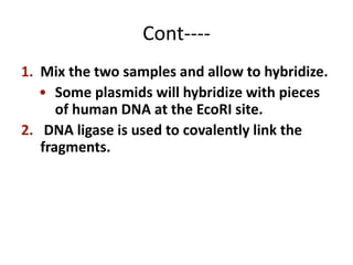 Genetic engineering and recombinant DNA technology (1).pptx
