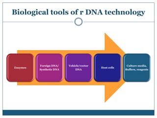 Genetic engineering and recombinant DNA technology | PPTX