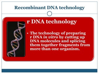 Genetic engineering and recombinant DNA technology | PPTX