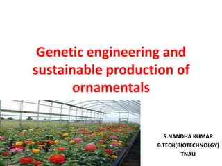 Genetic engineering and
sustainable production of
ornamentals
S.NANDHA KUMAR
B.TECH(BIOTECHNOLGY)
TNAU
 