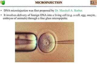 Genetic Engineering Apporaches_S.Srinivasnaik_RAD21-25.ppt