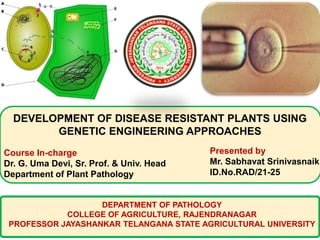 DEVELOPMENT OF DISEASE RESISTANT PLANTS USING
GENETIC ENGINEERING APPROACHES
Presented by
Mr. Sabhavat Srinivasnaik
ID.No.RAD/21-25
Course In-charge
Dr. G. Uma Devi, Sr. Prof. & Univ. Head
Department of Plant Pathology
DEPARTMENT OF PATHOLOGY
COLLEGE OF AGRICULTURE, RAJENDRANAGAR
PROFESSOR JAYASHANKAR TELANGANA STATE AGRICULTURAL UNIVERSITY
 