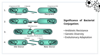 GENETIC ENGINEERING AND BIOTECHNOLOGY... | PPTX