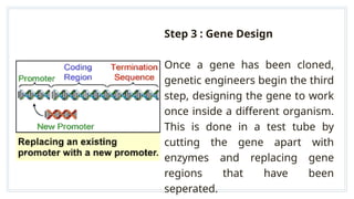 GENETIC ENGINEERING AND BIOTECHNOLOGY... | PPTX