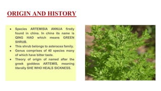 Artemisia annua. as a antimalarial complex and their productions. | PPTX