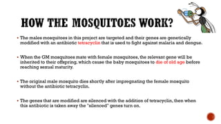 Genetic engineering in animal