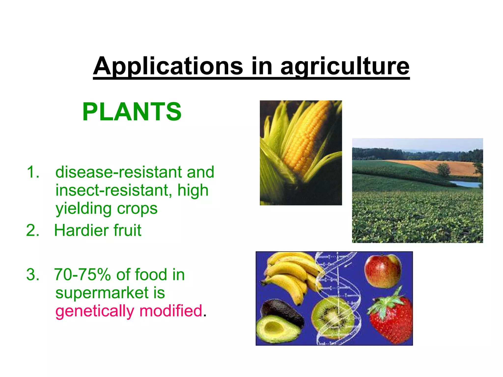 Applications in agriculture
PLANTS
1. disease-resistant and
insect-resistant, high
yielding crops
2. Hardier fruit
3. 70-75% of food in
supermarket is
genetically modified.

 