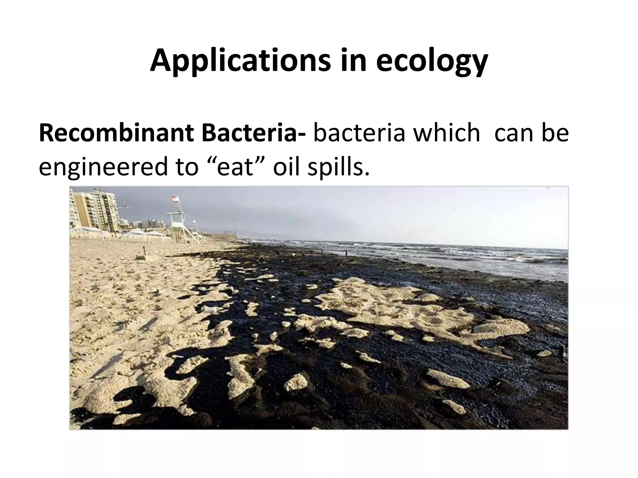 Applications in ecology
Recombinant Bacteria- bacteria which can be
engineered to “eat” oil spills.

 