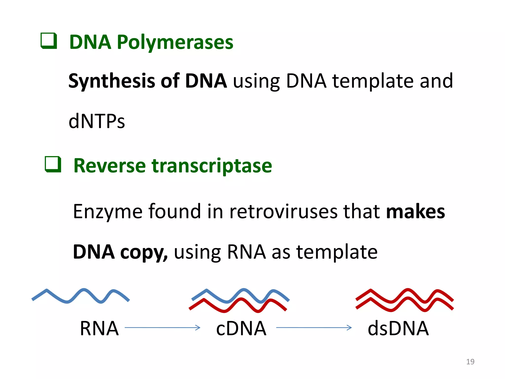  DNA Polymerases
Synthesis of DNA using DNA template and
dNTPs
 Reverse transcriptase
Enzyme found in retroviruses that makes
DNA copy, using RNA as template
RNA

cDNA

dsDNA
19

 