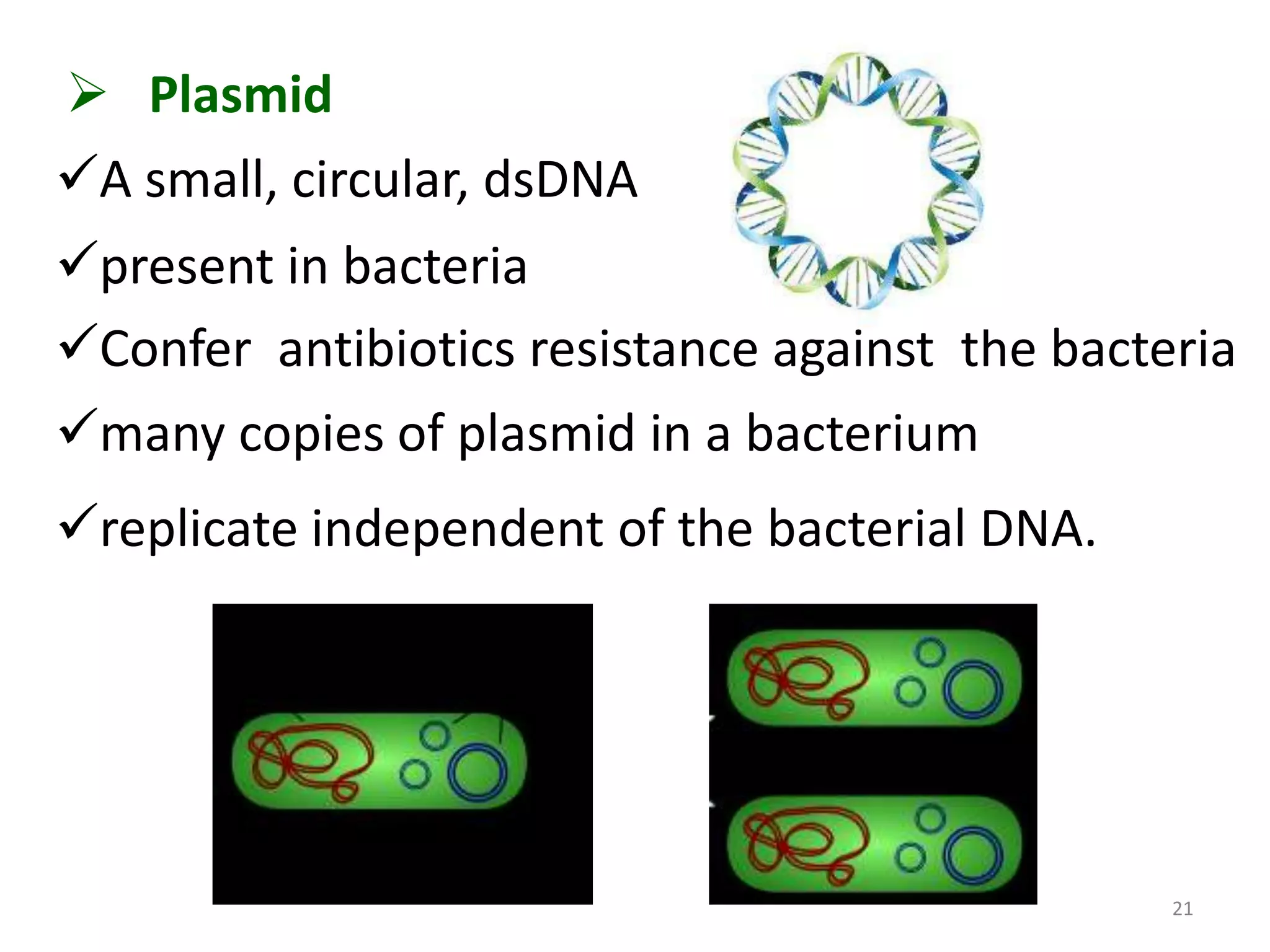  Plasmid
A small, circular, dsDNA
present in bacteria
Confer antibiotics resistance against the bacteria
many copies of plasmid in a bacterium

replicate independent of the bacterial DNA.

21

 