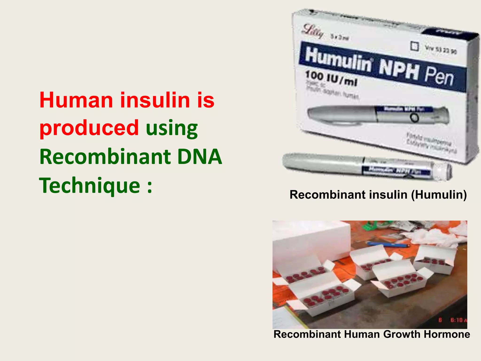 Human insulin is
produced using

Recombinant DNA
Technique :

Recombinant insulin (Humulin)

Recombinant Human Growth Hormone

 