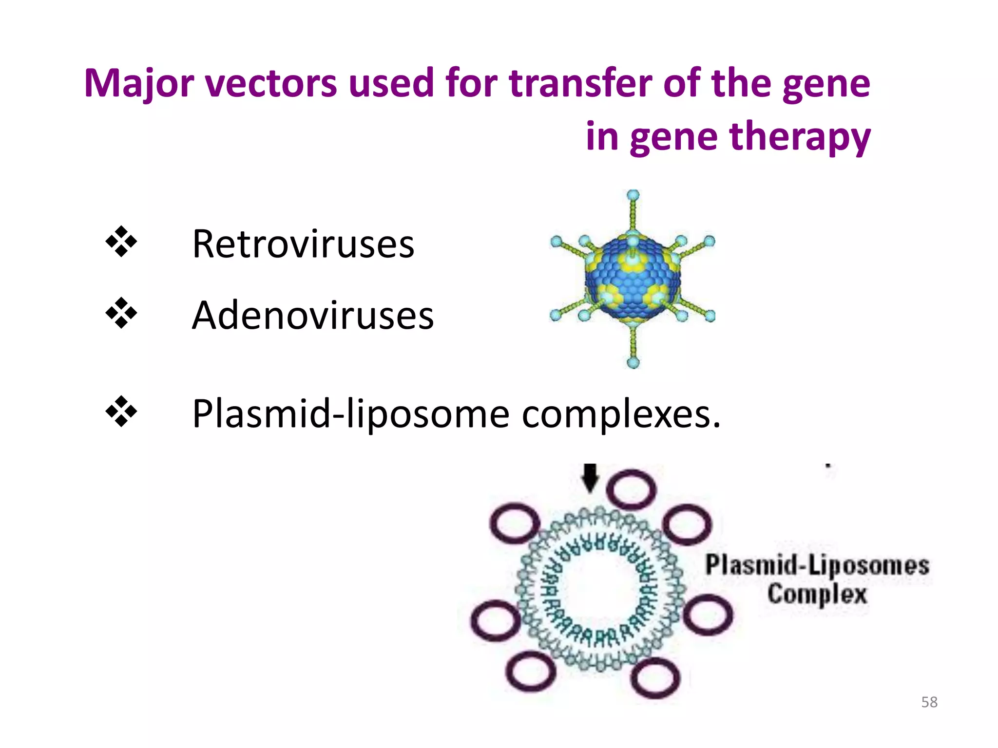 Major vectors used for transfer of the gene
in gene therapy


Retroviruses



Adenoviruses



Plasmid-liposome complexes.

58

 