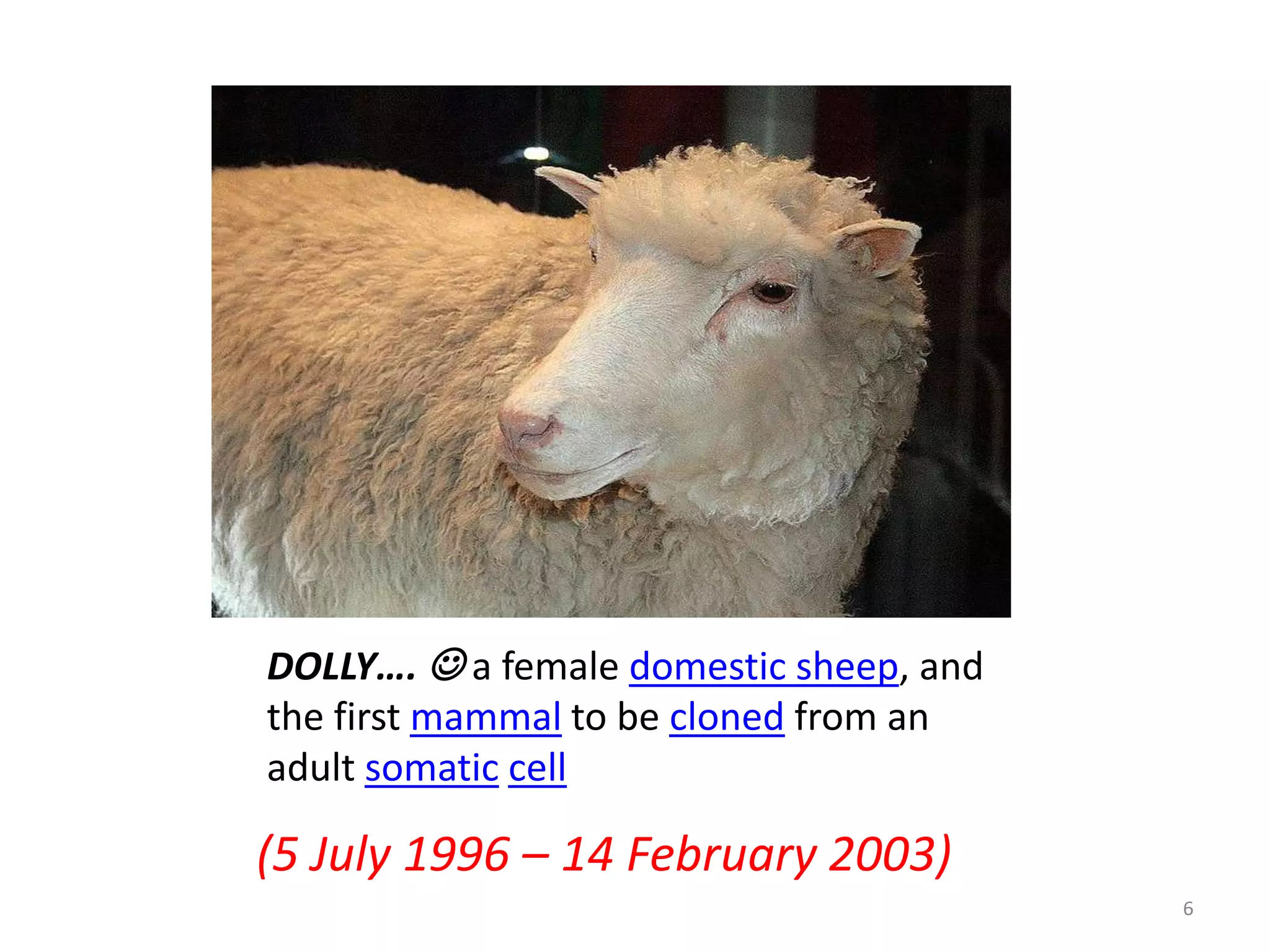 DOLLY….  a female domestic sheep, and
the first mammal to be cloned from an
adult somatic cell

(5 July 1996 – 14 February 2003)
6

 