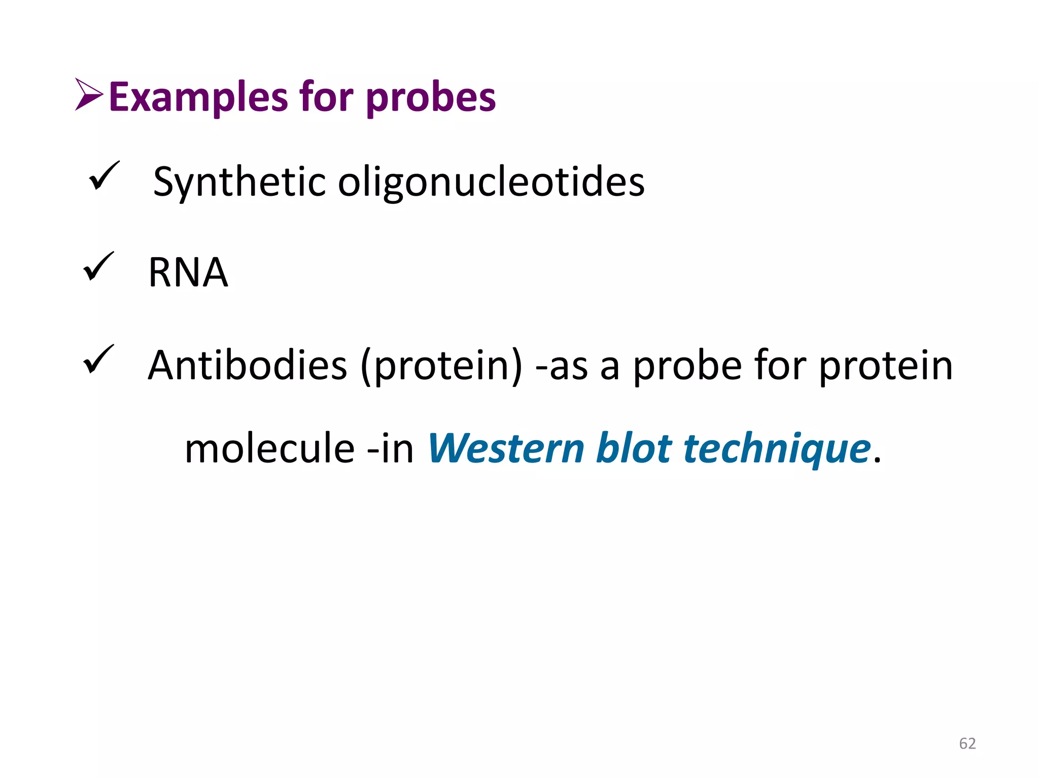 Examples for probes
 Synthetic oligonucleotides

 RNA
 Antibodies (protein) -as a probe for protein

molecule -in Western blot technique.

62

 