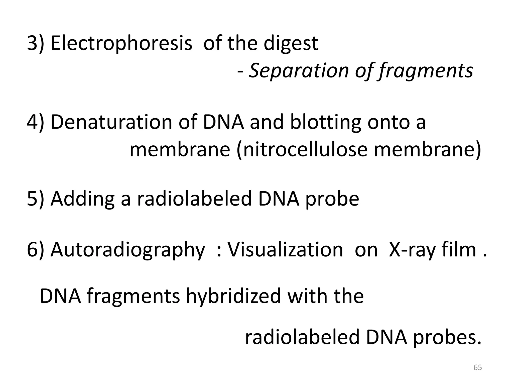 3) Electrophoresis of the digest
- Separation of fragments
4) Denaturation of DNA and blotting onto a
membrane (nitrocellulose membrane)
5) Adding a radiolabeled DNA probe
6) Autoradiography : Visualization on X-ray film .
DNA fragments hybridized with the
radiolabeled DNA probes.
65

 