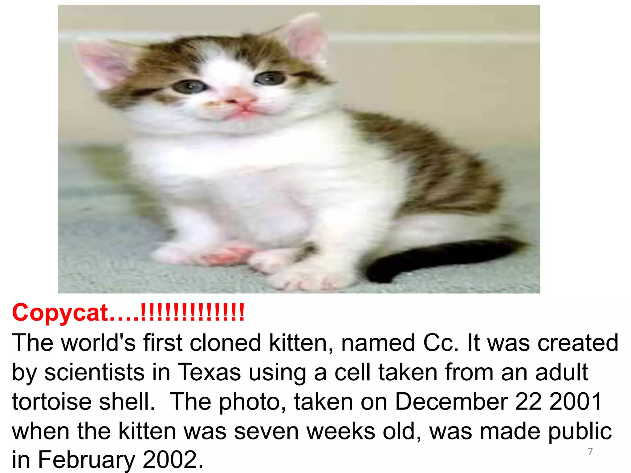 Copycat….!!!!!!!!!!!!!
The world's first cloned kitten, named Cc. It was created
by scientists in Texas using a cell taken from an adult
tortoise shell. The photo, taken on December 22 2001
when the kitten was seven weeks old, was made public
7
in February 2002.

 
