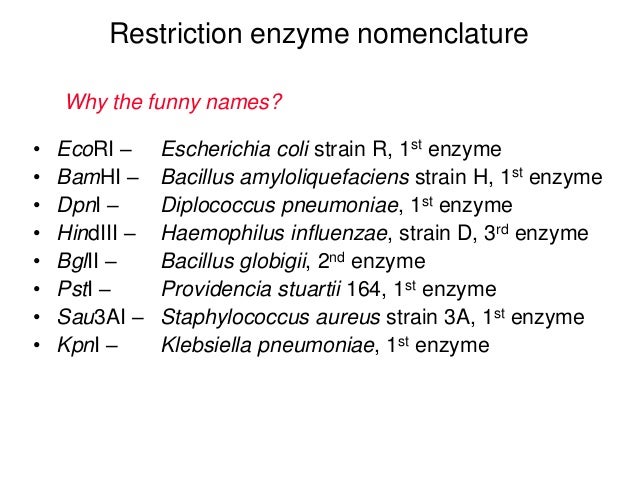 Genetic engineering,recombinant DNA technology..