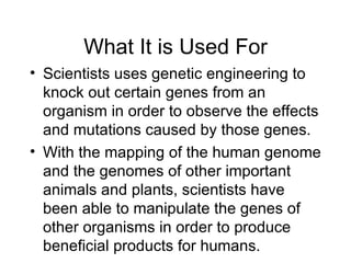 What It is Used For Scientists uses genetic engineering to knock out certain genes from an organism in order to observe the effects and mutations caused by those genes. With the mapping of the human genome and the genomes of other important animals and plants, scientists have been able to manipulate the genes of other organisms in order to produce beneficial products for humans.  
