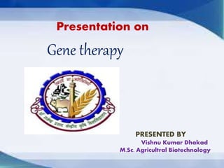 Presentation on
Gene therapy
PRESENTED BY
Vishnu Kumar Dhakad
M.Sc. Agricultral Biotechnology
 