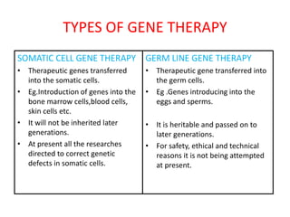 SOMATIC CELL GENE THERAPY: TWO TYPES
In vivo gene therapy: delivery of new genetic material directly to
target cells withi...