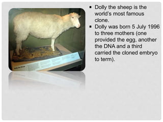 Dolly the sheep is the
world’s most famous
clone.
Dolly was born 5 July 1996
to three mothers (one
provided the egg, another
the DNA and a third
carried the cloned embryo
to term).
 