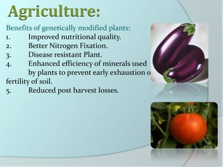 .
Agriculture:
Benefits of genetically modified plants:
1. Improved nutritional quality.
2. Better Nitrogen Fixation.
3. Disease resistant Plant.
4. Enhanced efficiency of minerals used
by plants to prevent early exhaustion of
fertility of soil.
5. Reduced post harvest losses.
 