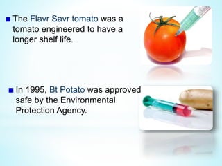The Flavr Savr tomato was a
tomato engineered to have a
longer shelf life.
In 1995, Bt Potato was approved
safe by the Environmental
Protection Agency.
 