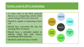 Genetic Engineering : Recombinant DNA Technology, vectors And Ti ...
