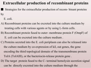 Extracellular production of recombinant proteins
■ Strategies for the extracellular production of recom- binant proteins
by
E. coli.
A) Recombinant proteins can be excreted into the culture medium by
treating cells with various agents or by using L-form cells.
B) Recombinant protein fused to outer- membrane protein F (OmpF) of
E. coli can be excreted into the culture medium .
C) Proteins secreted into the E. coli periplasm can also be released into
the culture medium by co-expression of kil, out genes, the gene
encoding the third topological domain of the transmembrane protein
TolA (TolAIII), or the bacteriocin-release protein gene .
D) The target protein fused to the C- terminal hemolysin secretion signal
can be directly excreted into the culture medium through the
 