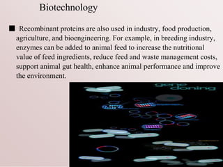 Biotechnology
■ Recombinant proteins are also used in industry, food production,
agriculture, and bioengineering. For example, in breeding industry,
enzymes can be added to animal feed to increase the nutritional
value of feed ingredients, reduce feed and waste management costs,
support animal gut health, enhance animal performance and improve
the environment.
 