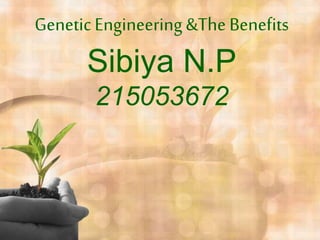 GeneticEngineering&The Benefits
Sibiya N.P
215053672
 