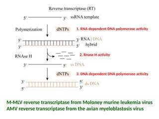 Genetic Engineering tools commonly used in Biotechnology.pptx