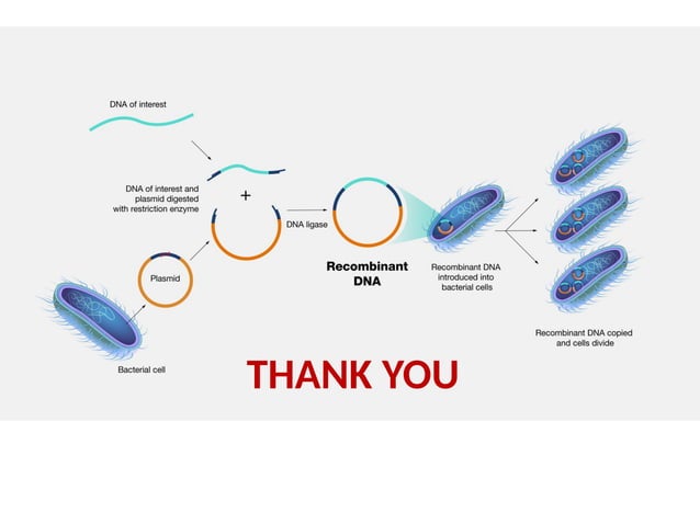 Genetic Engineering tools commonly used in Biotechnology.pptx