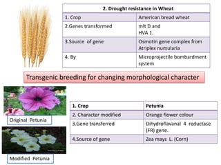 Genetic engineering & transgenic breeding