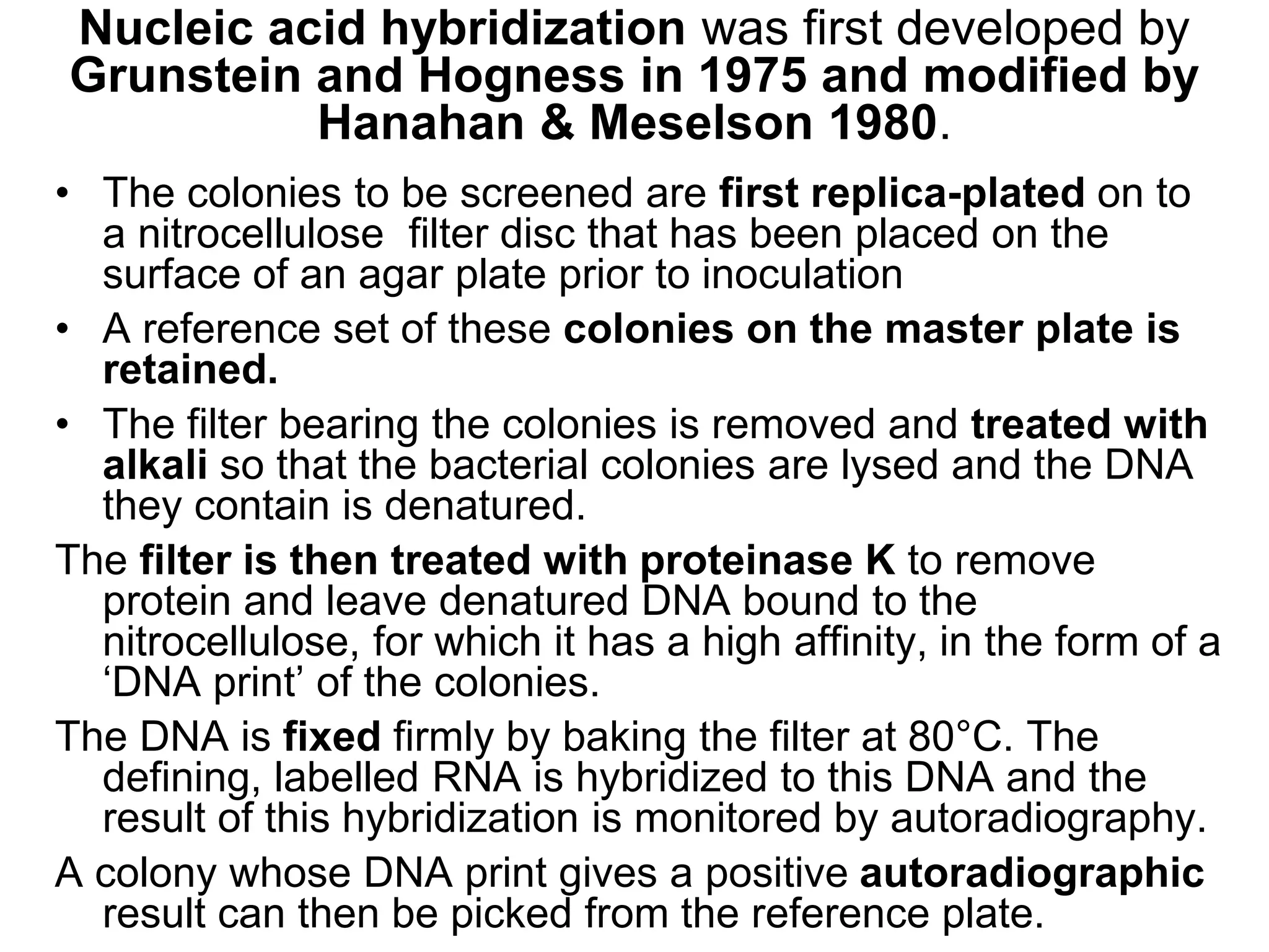 • The colonies to be screened are first replica-plated on to
a nitrocellulose filter disc that has been placed on the
surface of an agar plate prior to inoculation
• A reference set of these colonies on the master plate is
retained.
• The filter bearing the colonies is removed and treated with
alkali so that the bacterial colonies are lysed and the DNA
they contain is denatured.
The filter is then treated with proteinase K to remove
protein and leave denatured DNA bound to the
nitrocellulose, for which it has a high affinity, in the form of a
‘DNA print’ of the colonies.
The DNA is fixed firmly by baking the filter at 80°C. The
defining, labelled RNA is hybridized to this DNA and the
result of this hybridization is monitored by autoradiography.
A colony whose DNA print gives a positive autoradiographic
result can then be picked from the reference plate.
Nucleic acid hybridization was first developed by
Grunstein and Hogness in 1975 and modified by
Hanahan & Meselson 1980.
 