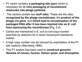 Pac Vector Structure genetic_engineering__unit_i__lecture_3.ppt