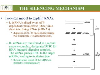 Rnai Model Genetic Engineering with Plant Viruses, M. Rafi.pptx