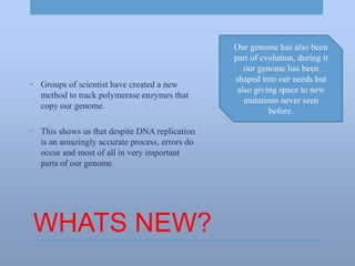WHATS NEW?
• Groups of scientist have created a new
method to track polymerase enzymes that
copy our genome.
• This shows us that despite DNA replication
is an amazingly accurate process, errors do
occur and most of all in very important
parts of our genome
Our genome has also been
part of evolution, during it
our genome has been
shaped into our needs but
also giving space to new
mutations never seen
before.
 