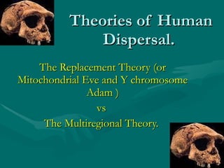 Theories of Human Dispersal.  The Replacement Theory (or Mitochondrial Eve and Y chromosome Adam ) vs  The Multiregional Theory.  
