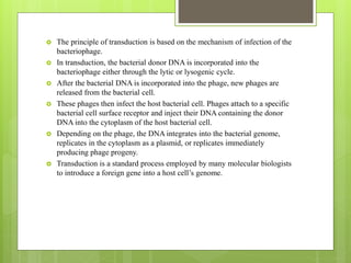  The principle of transduction is based on the mechanism of infection of the
bacteriophage.
 In transduction, the bacterial donor DNA is incorporated into the
bacteriophage either through the lytic or lysogenic cycle.
 After the bacterial DNA is incorporated into the phage, new phages are
released from the bacterial cell.
 These phages then infect the host bacterial cell. Phages attach to a specific
bacterial cell surface receptor and inject their DNA containing the donor
DNA into the cytoplasm of the host bacterial cell.
 Depending on the phage, the DNA integrates into the bacterial genome,
replicates in the cytoplasm as a plasmid, or replicates immediately
producing phage progeny.
 Transduction is a standard process employed by many molecular biologists
to introduce a foreign gene into a host cell’s genome.
 