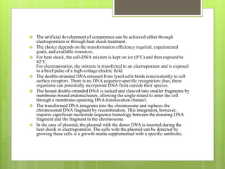  The artificial development of competence can be achieved either through
electroporation or through heat shock treatment.
 The choice depends on the transformation efficiency required, experimental
goals, and available resources.
 For heat shock, the cell-DNA mixture is kept on ice (0°C) and then exposed to
42°C.
For electroporation, the mixture is transferred to an electroporator and is exposed
to a brief pulse of a high-voltage electric field.
 The double-stranded DNA released from lysed cells binds noncovalently to cell
surface receptors. There is no DNA sequence-specific recognition; thus, these
organisms can potentially incorporate DNA from outside their species.
 The bound double-stranded DNA is nicked and cleaved into smaller fragments by
membrane-bound endonucleases, allowing the single strand to enter the cell
through a membrane-spanning DNA translocation channel.
 The transformed DNA integrates into the chromosome and replaces the
chromosomal DNA fragment by recombination. This integration, however,
requires significant nucleotide sequence homology between the donating DNA
fragment and the fragment in the chromosome.
 In the case of plasmid, the plasmid with the donor DNA is inserted during the
heat shock or electroporation. The cells with the plasmid can be detected by
growing these cells is a growth media supplemented with a specific antibiotic.
 