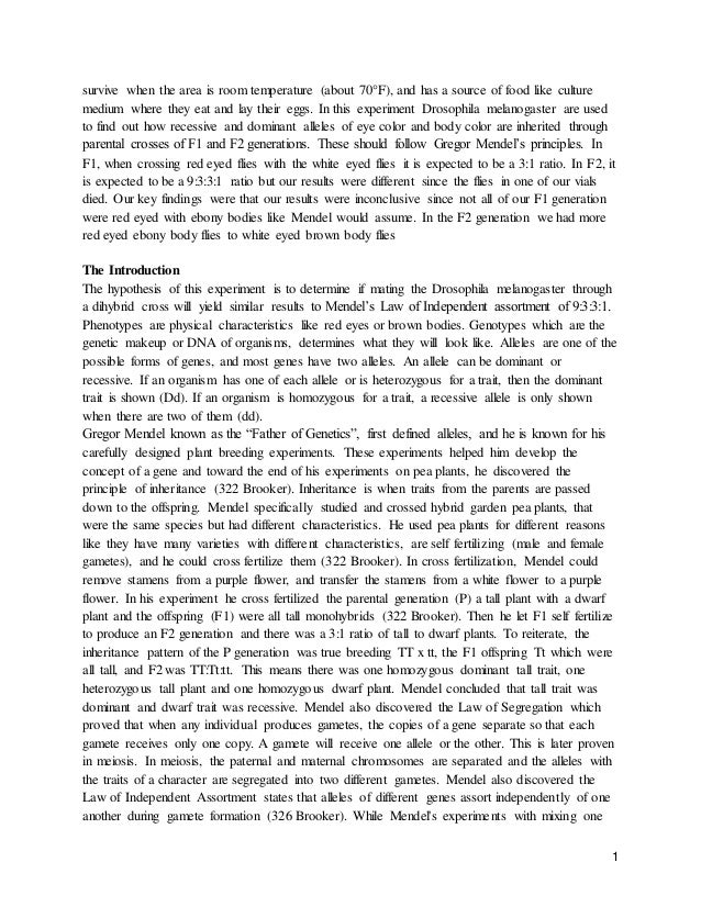 genetic experiment on the offspring of drosophila melanogaster drosophila melanogaster lab report