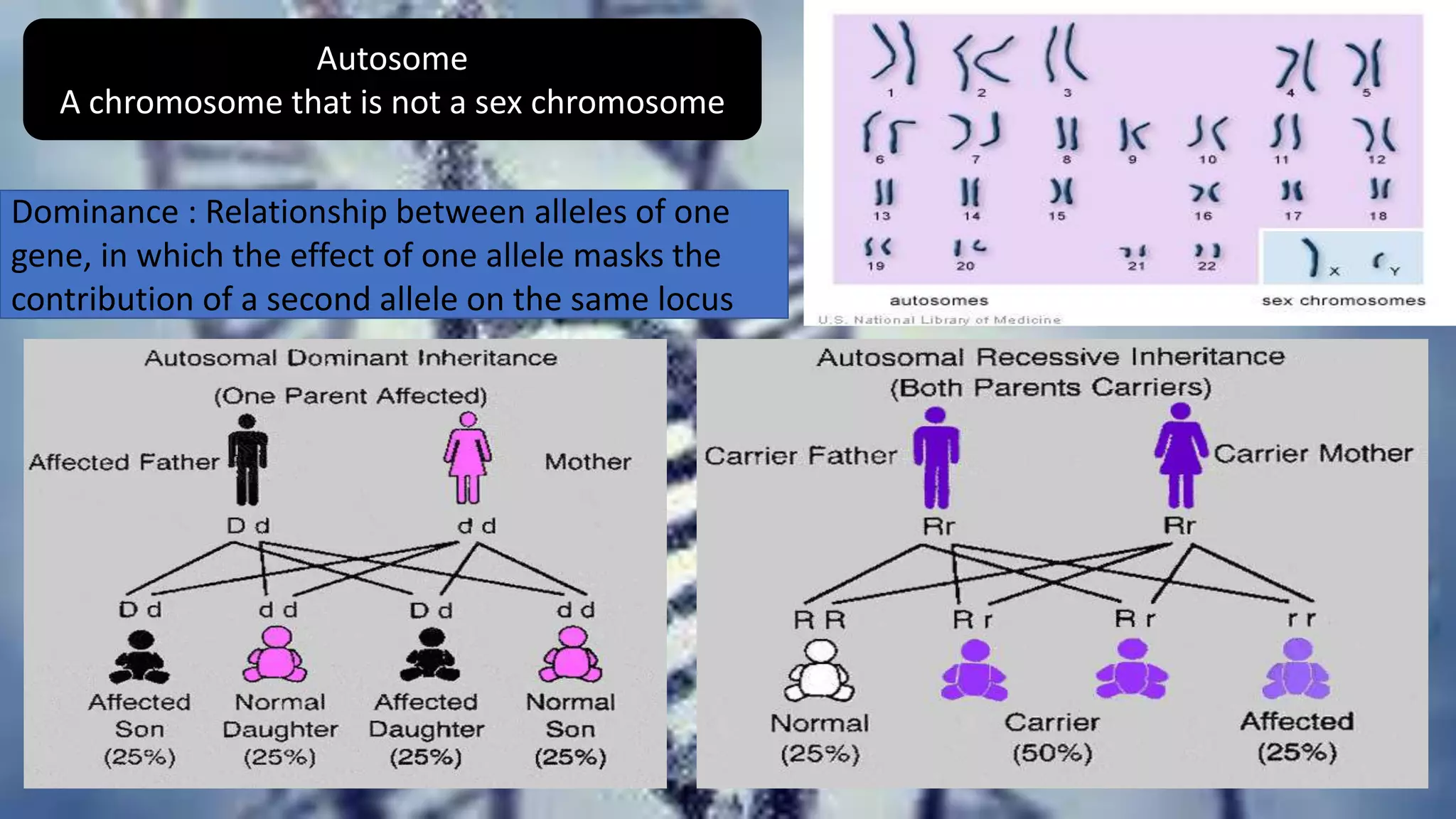 Autosome
A chromosome that is not a sex chromosome
Dominance : Relationship between alleles of one
gene, in which the effect of one allele masks the
contribution of a second allele on the same locus
 