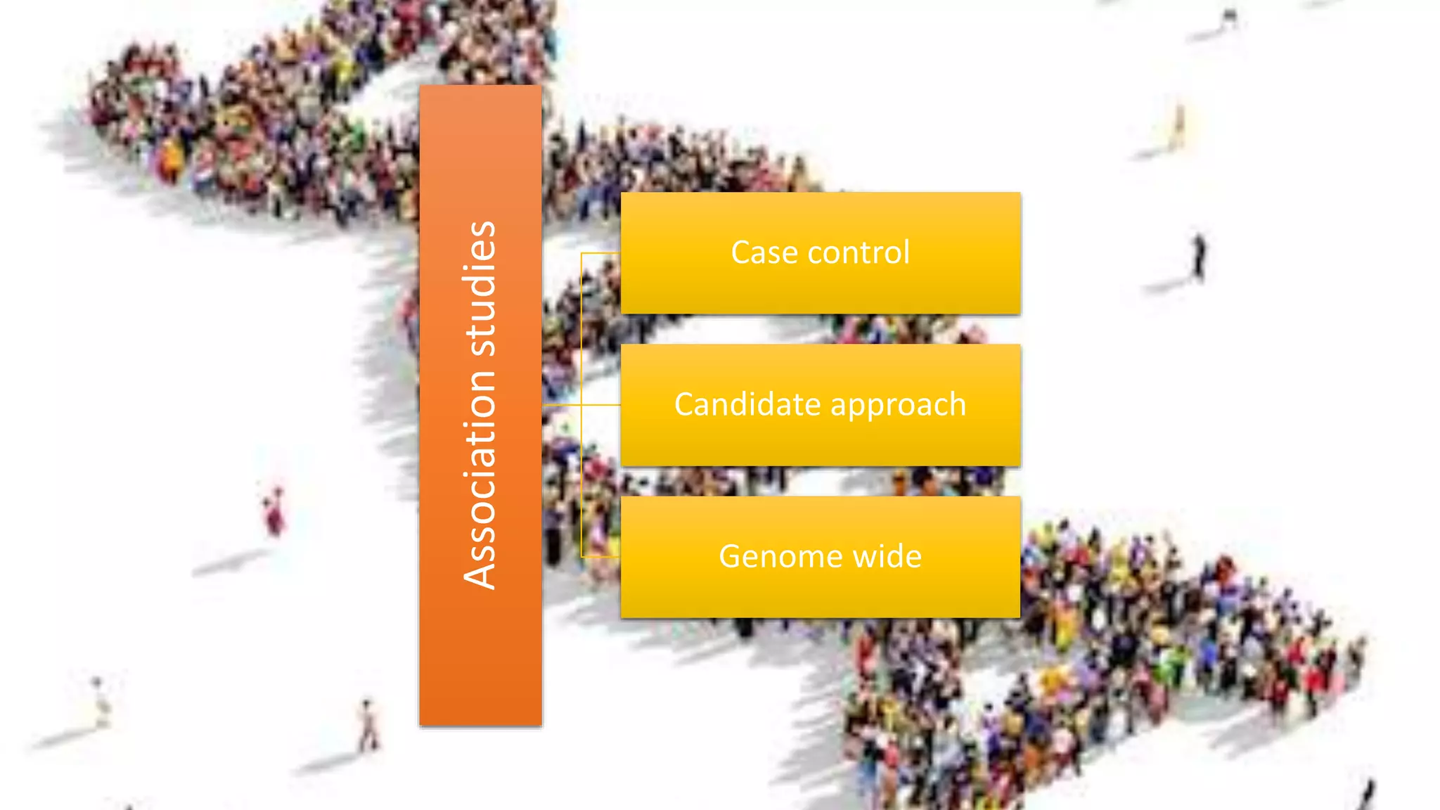 Associationstudies
Case control
Candidate approach
Genome wide
 