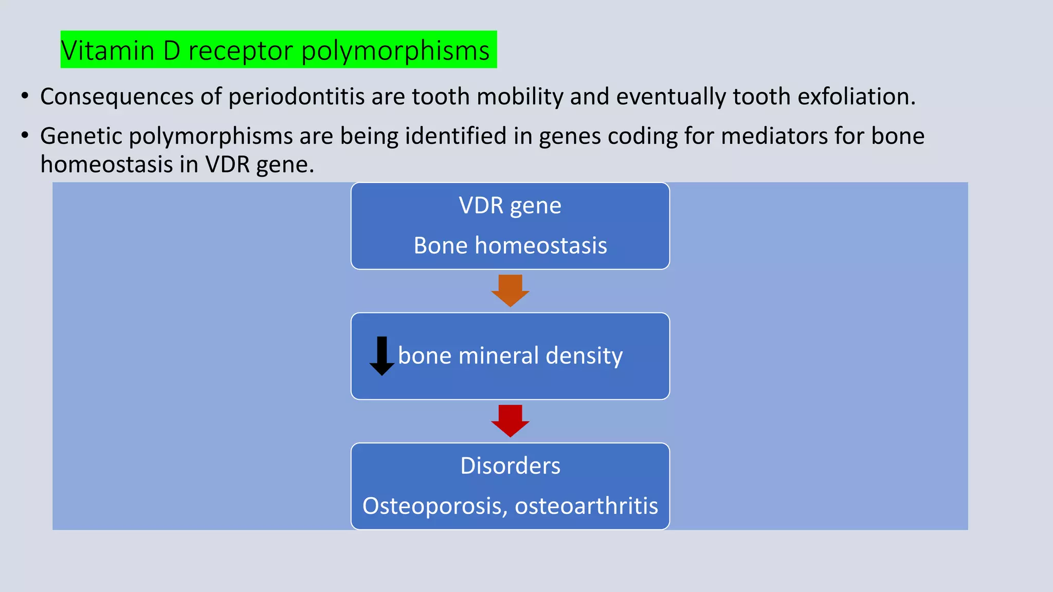 Vitamin D receptor polymorphisms
• Consequences of periodontitis are tooth mobility and eventually tooth exfoliation.
• Genetic polymorphisms are being identified in genes coding for mediators for bone
homeostasis in VDR gene.
VDR gene
Bone homeostasis
bone mineral density
Disorders
Osteoporosis, osteoarthritis
 